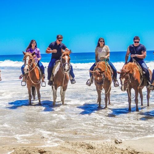 Get Set for an Exciting Vacation Riding Ponies