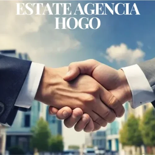 Real Estate Business Hogo: Your Essential Partner for Amazing Real Estate