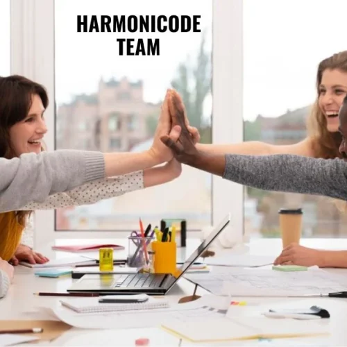 Harmonicode team: Forming Great Teams for Success