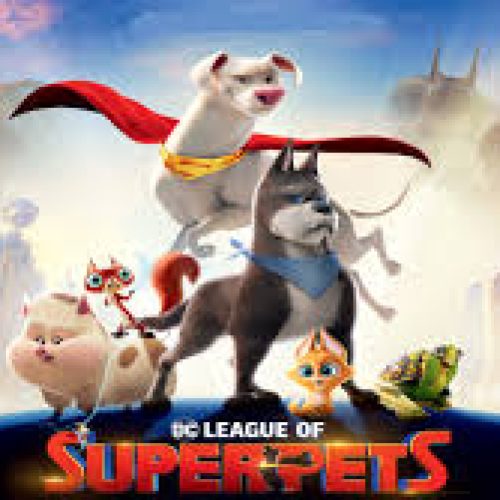 Discovering the Joy: DC’s League of Super-Pets TV Plans Are Up Soon